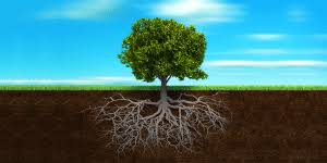 Deepening